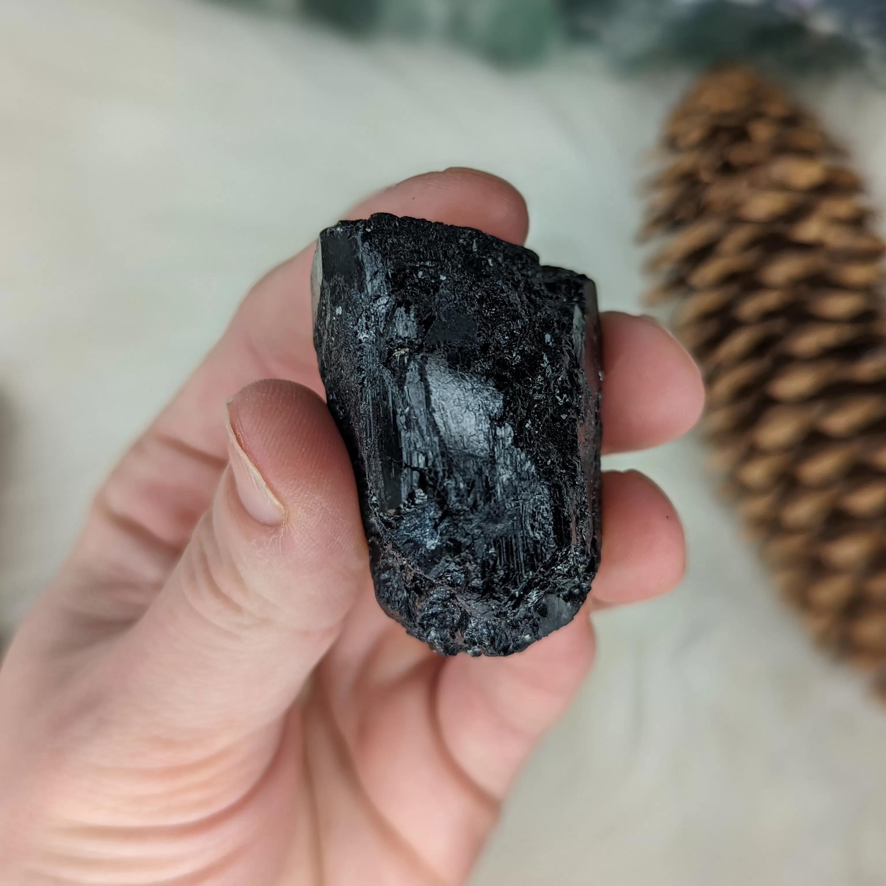 AA Grade Black Tourmaline Natural Specimen~ Dazzling Protective Stone