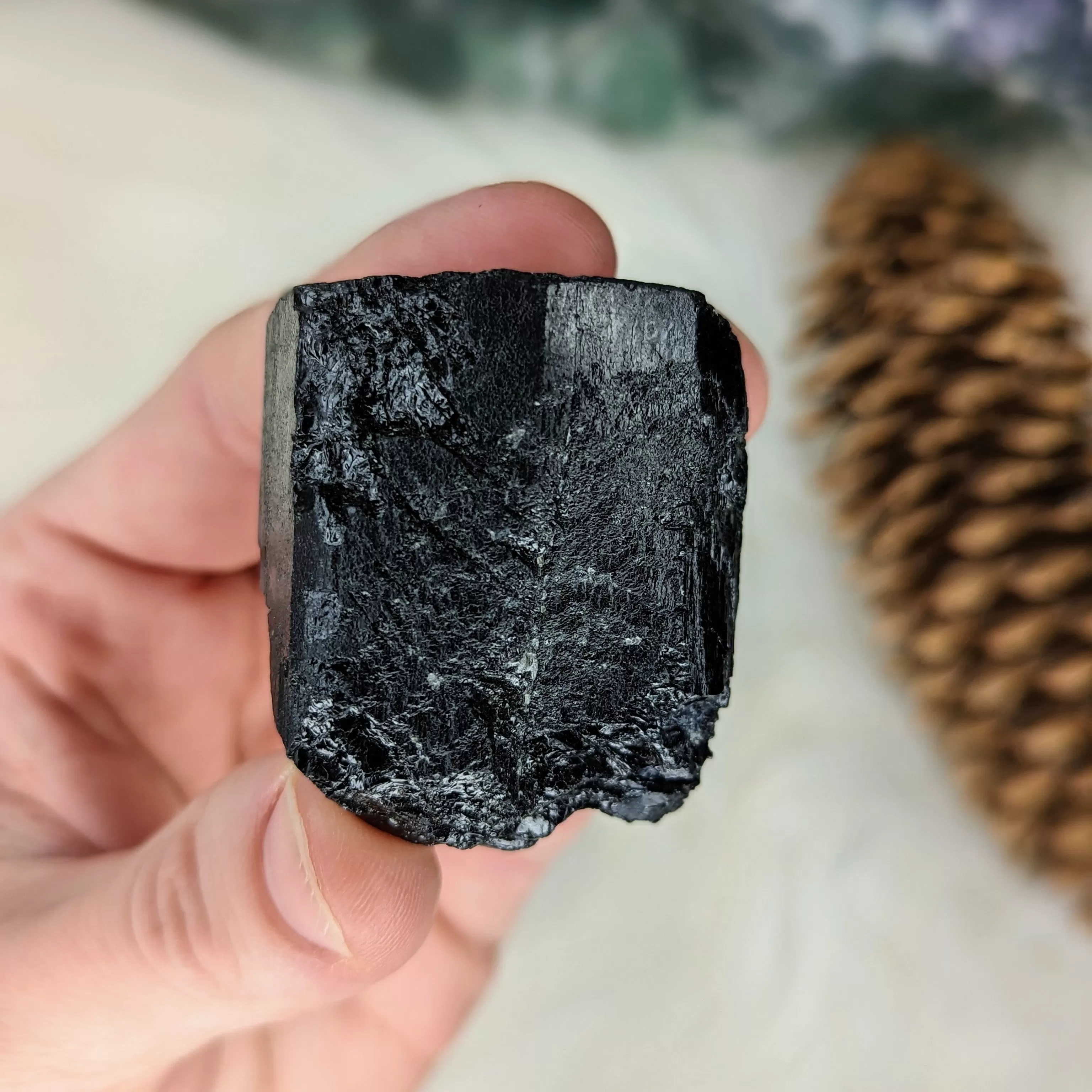 AA Grade Black Tourmaline Natural Specimen~ Dazzling Protective Stone