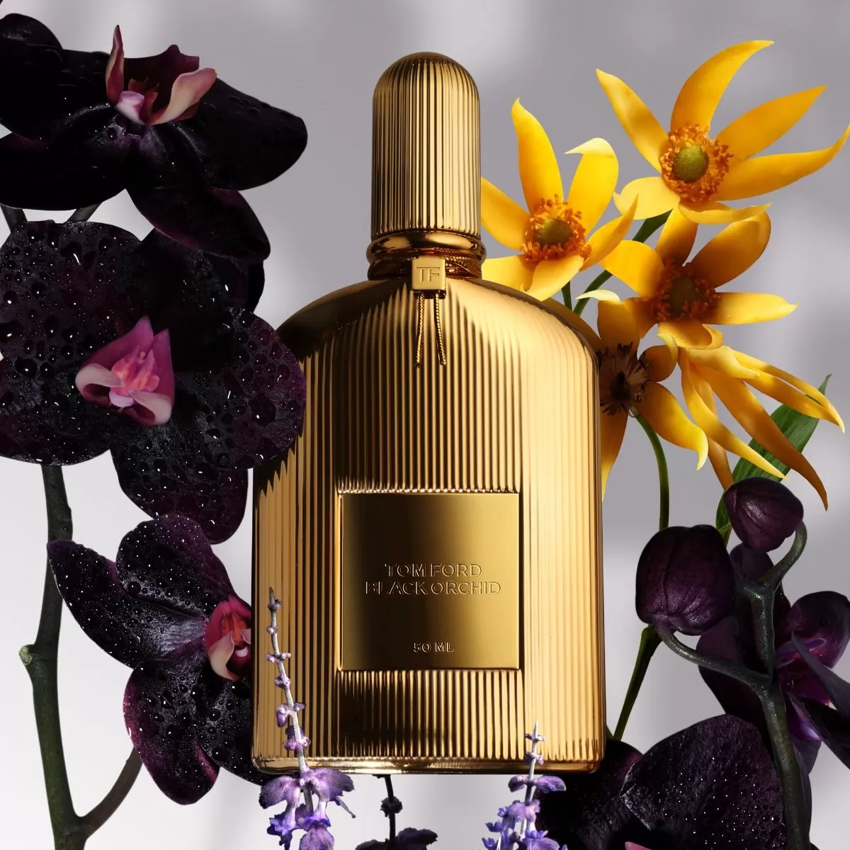 Black Orchid Parfum 50ml