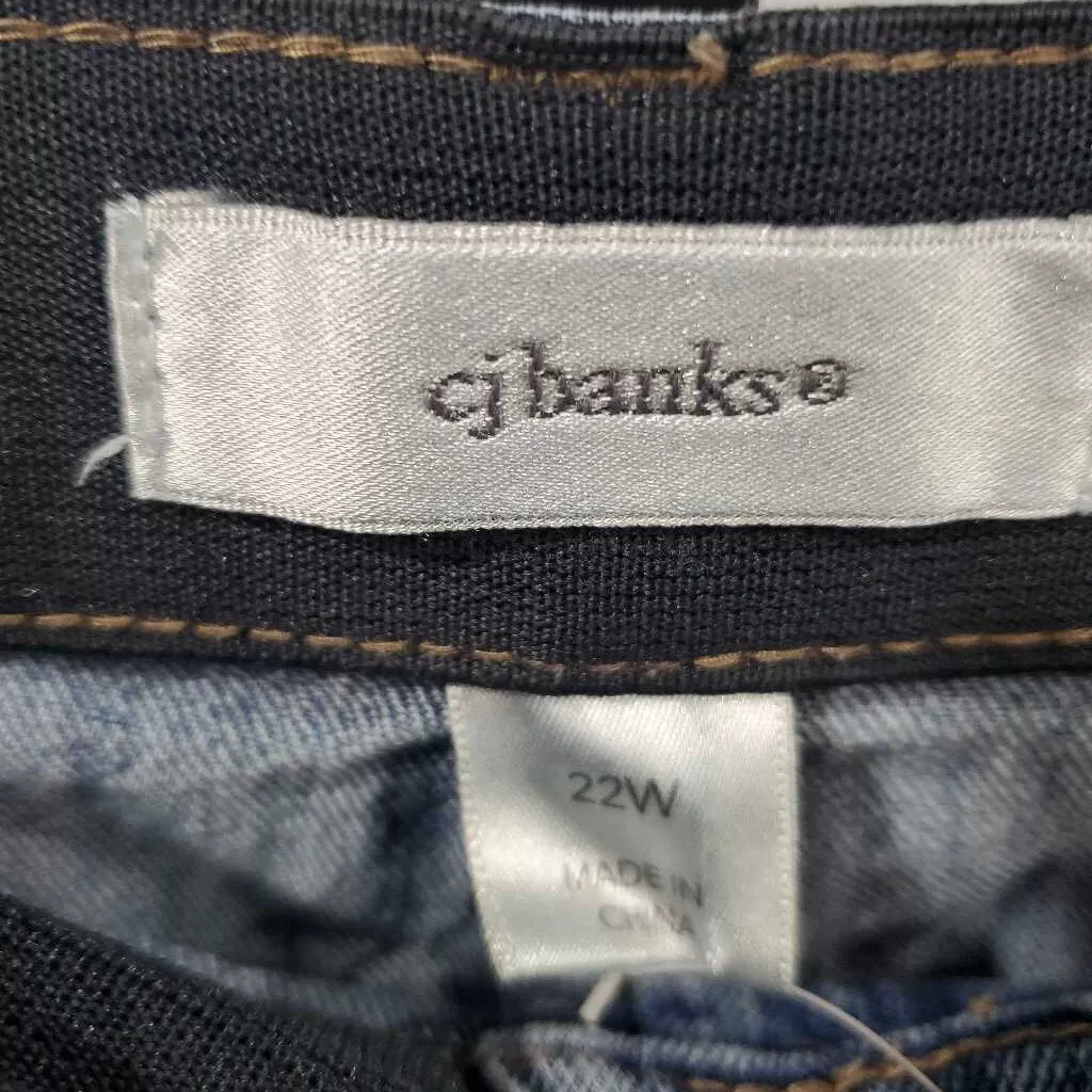 CJ Banks Jeans 22W