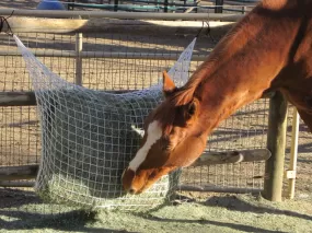 Freedom Feeder Extended Day Slow Feed Hay Net