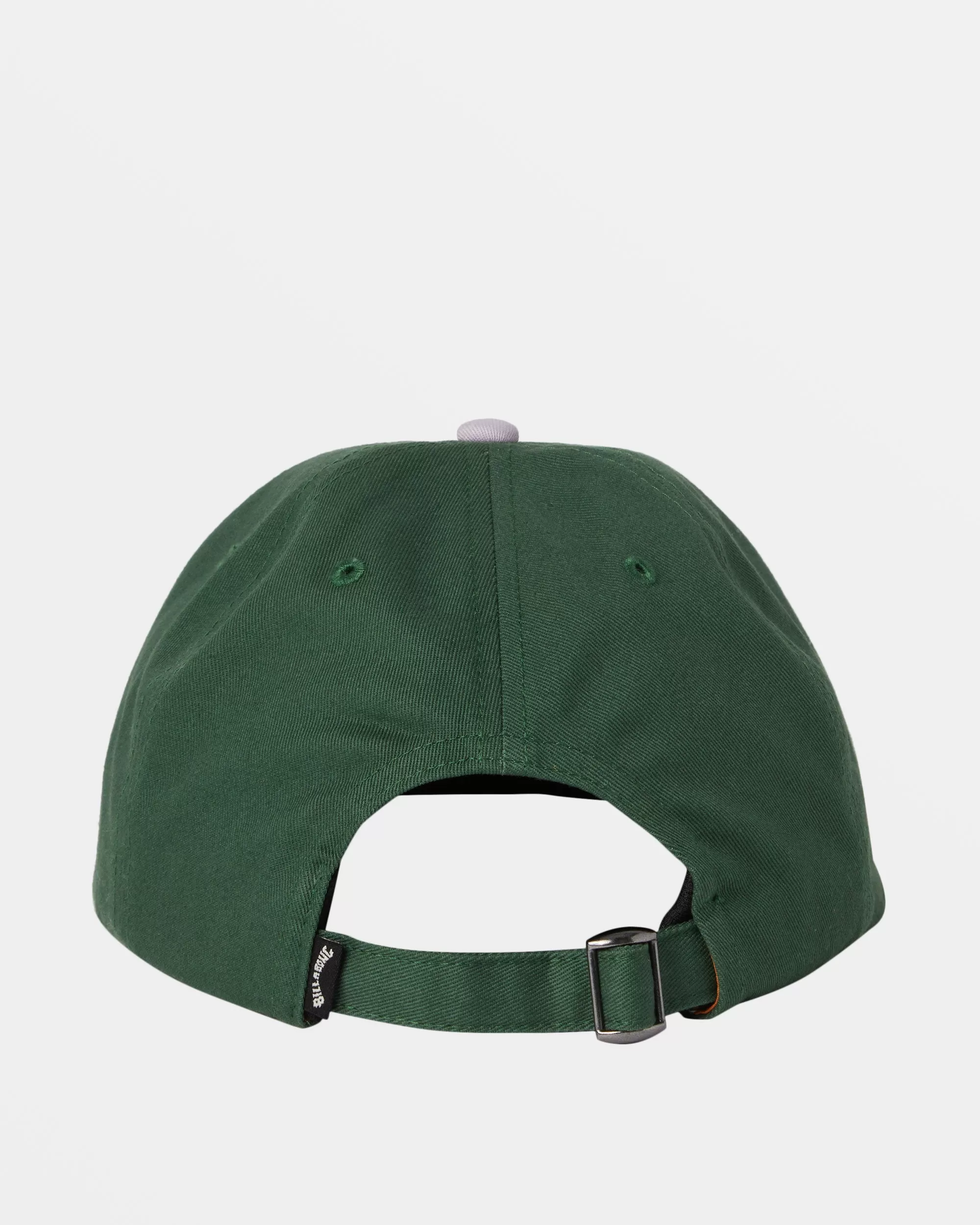 Global Arch Baseball Hat - Fern