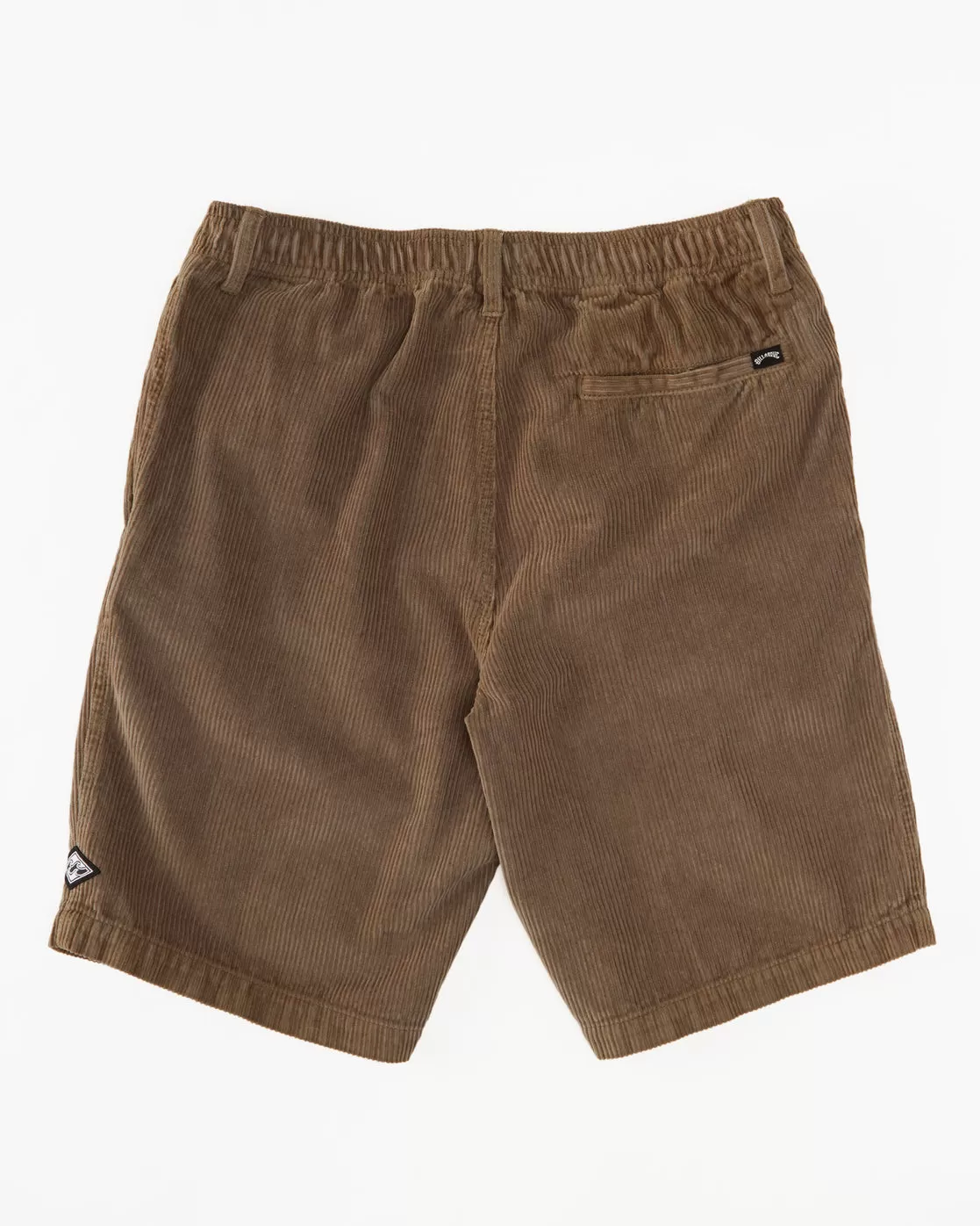 Larry Corduroy 20 Shorts - Earth