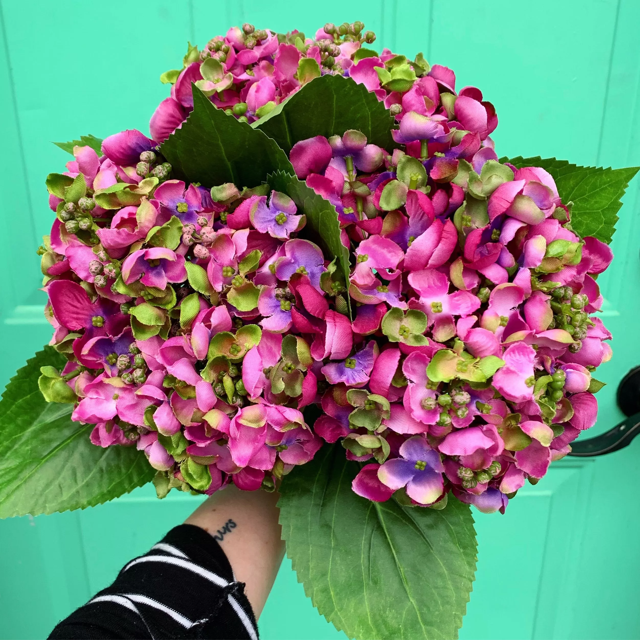 Plum Hydrangea Stem