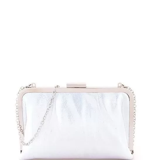 Silver Chic Glossy Purse