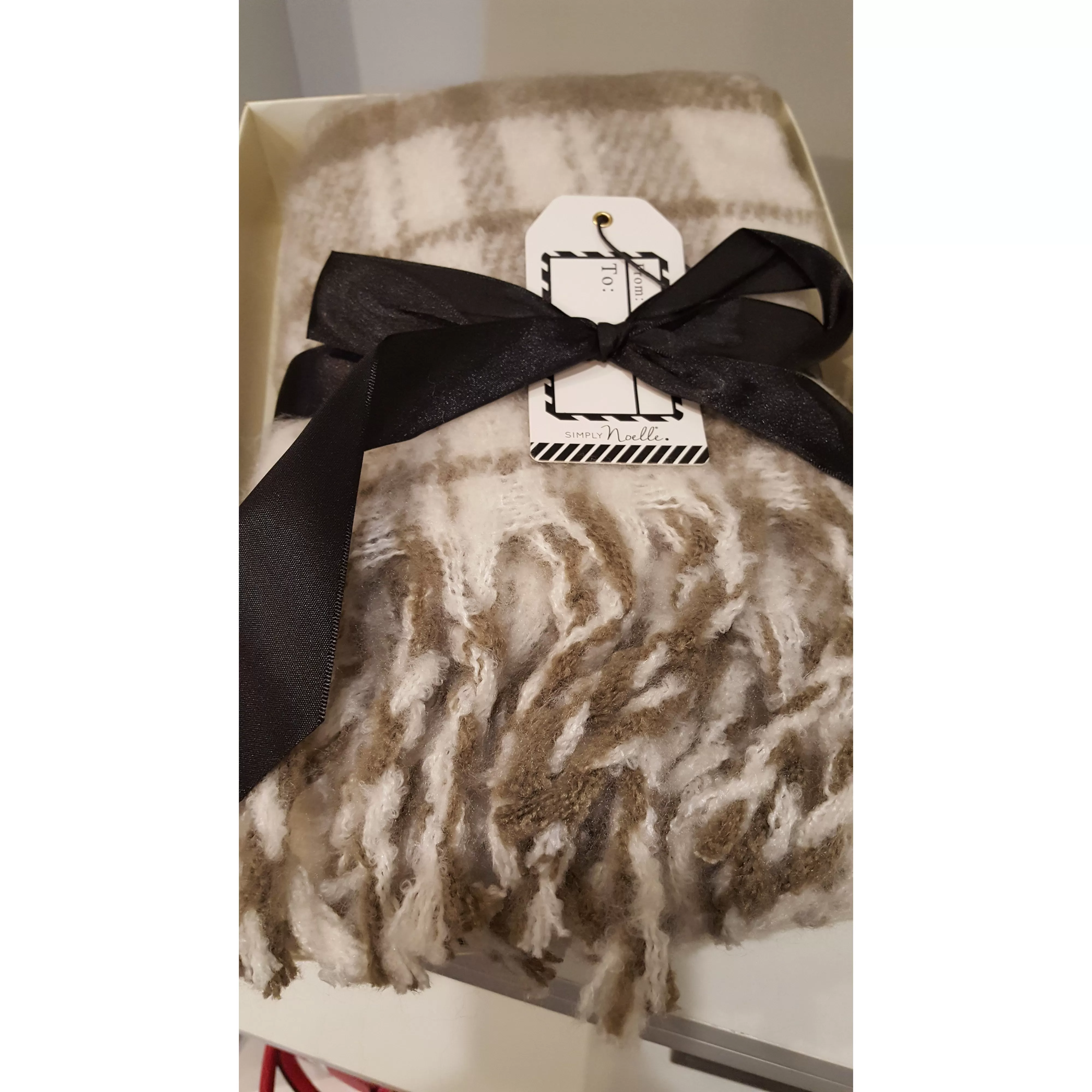 Simply Noelle Boxed Brushed Scarf