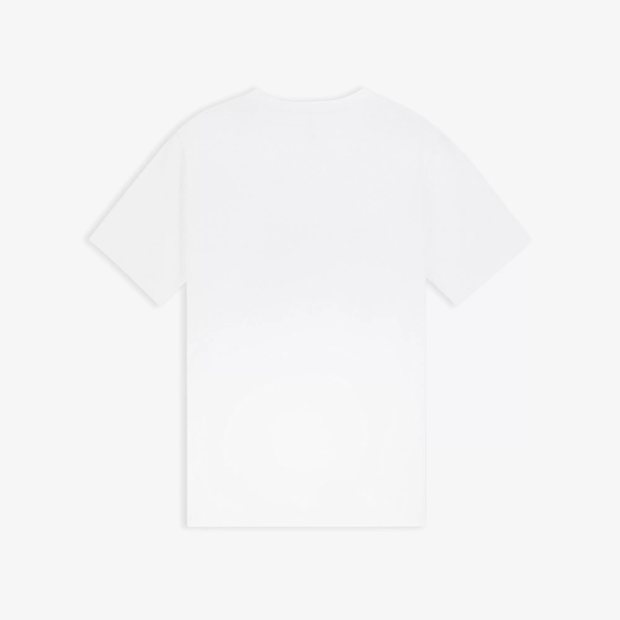 X DOTD GRAPHIC SS TEE 'WHITE'